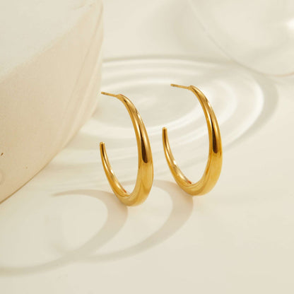 Titanium Steel Hoop Earrings